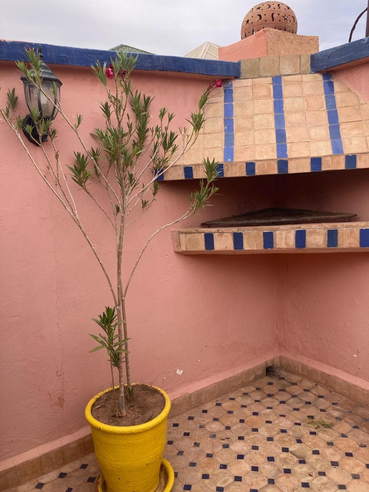Riad Lalla Aicha-Qariya Siyahia Marrakech Μαρακές Εξωτερικό φωτογραφία